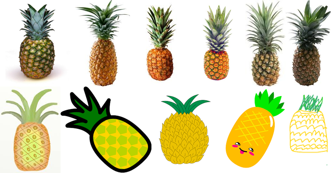 Pineapples and their (visual) models