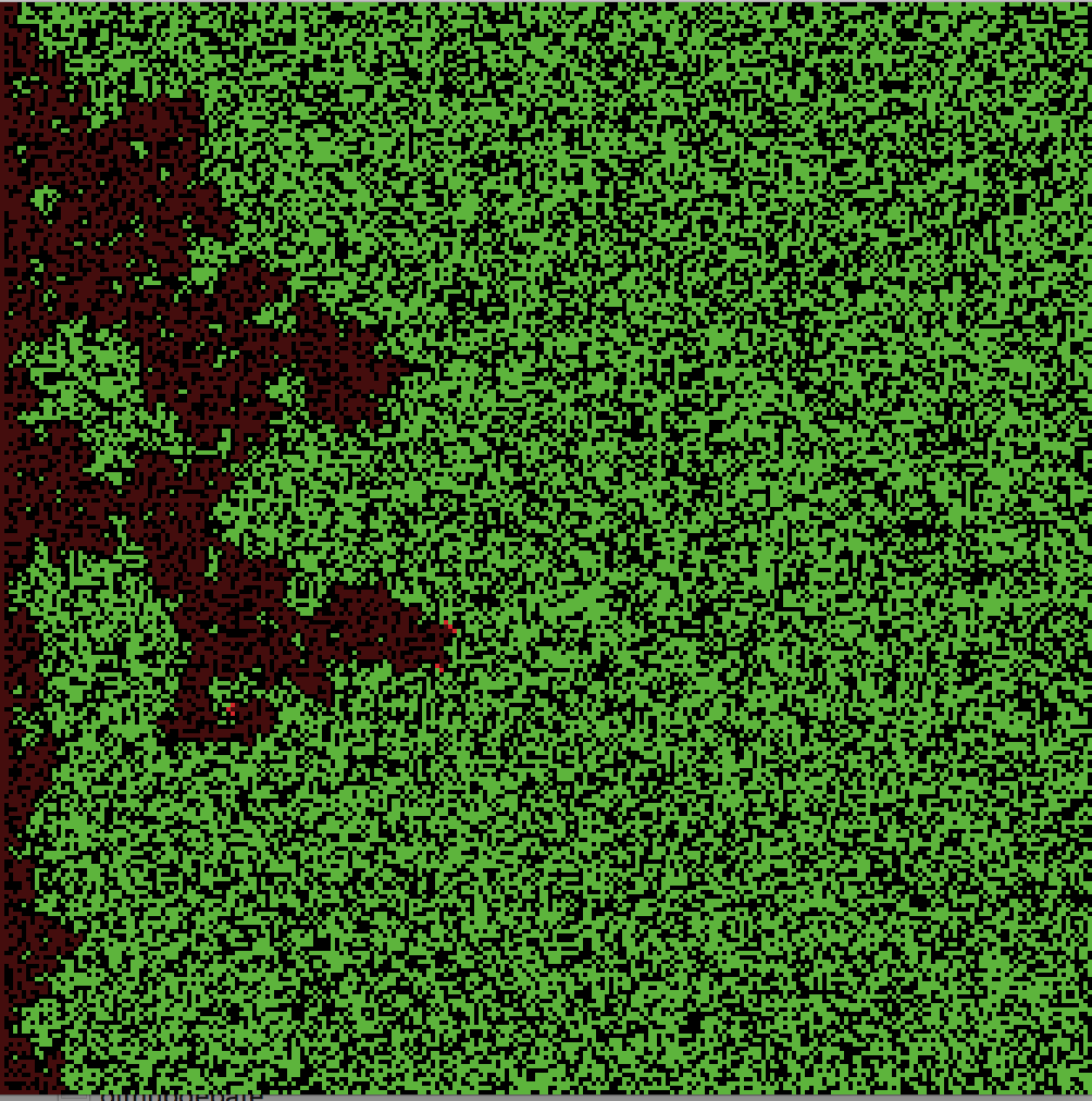 The visualization of a simulation run of the Fire model using NetLogo (tree density: 57%; random seed: 746823835). Click through to view the animated version.